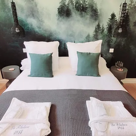 Filature 1813-duplex-relaxation,spa,garden View * Wasselonne