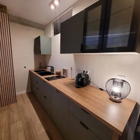 Filature 1813-duplex-relaxation,spa,garden View Appartamento Wasselonne