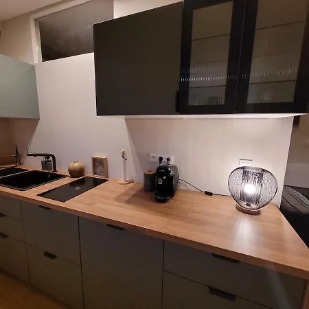 Filature 1813-duplex-relaxation,spa,garden View * Wasselonne