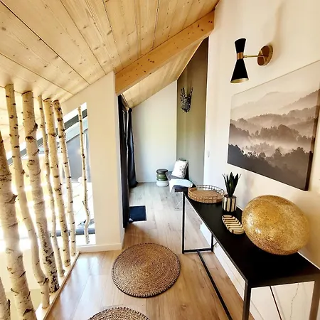 Filature 1813-duplex-relaxation,spa,garden View Wasselonne