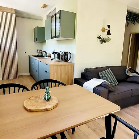 Filature 1813-duplex-relaxation,spa,garden View Appartamento Wasselonne